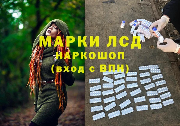 гидра Яранск