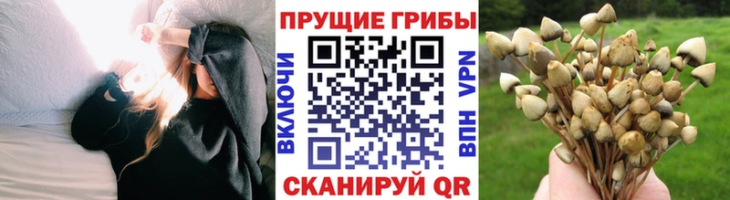 Псилоцибиновые грибы мухоморы  Ставрополь 